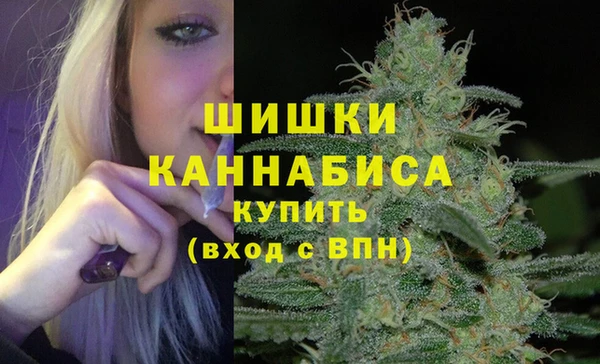 mdpv Белокуриха