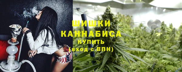 mdpv Белокуриха