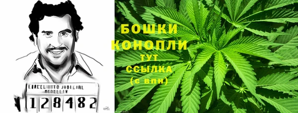 PSILOCYBIN Долгопрудный