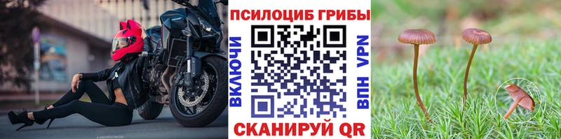 Псилоцибиновые грибы GOLDEN TEACHER  Вихоревка 